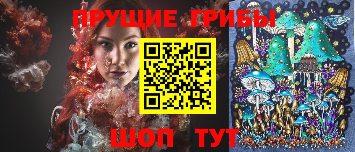 Кисловодск  наркошоп  Вход с VPN  Псилоцибиновые грибы мицелий 